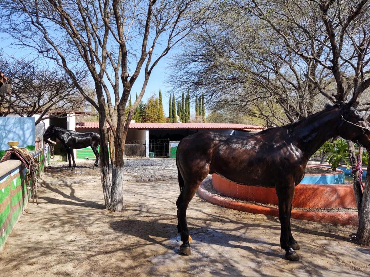 Atotonilco  Rancho Labradores מראה חיצוני תמונה
